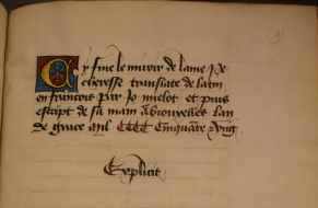 bibale_img/1-239-full-Den Haag, KB, 76 E 9, f 91r.jpg