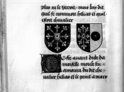 bibale_img/-239-full-Armoiries des Cleves, munchen 00019, 16v.JPG