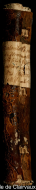 bibale_img/20161208_1607810644.jpg